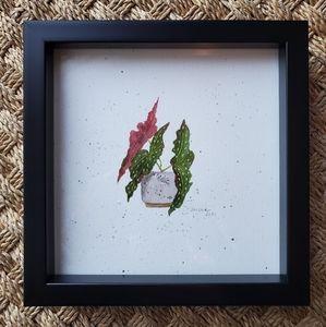 Original Watercolor Painting 8x8